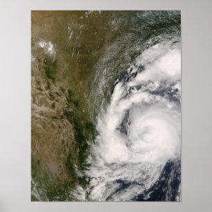 Poster Zorra tropical da tempestade