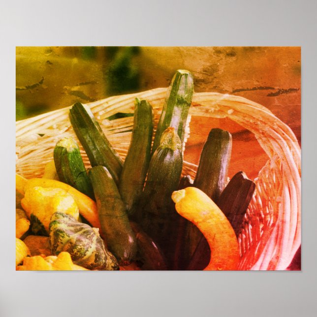 Poster Zucchini Summer Squash Gours Vegetables Vintage (Frente)