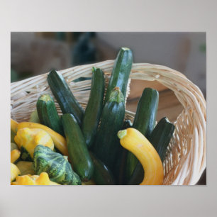 Poster Zucchini Summer Squash Gours Vegetais