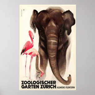 Poster Zurich Zoológico Suíço Elefante Flamingo Animal