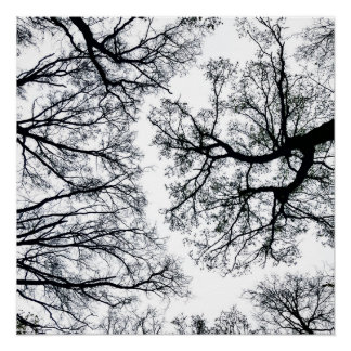 Pôster Zwollenaar Fractal