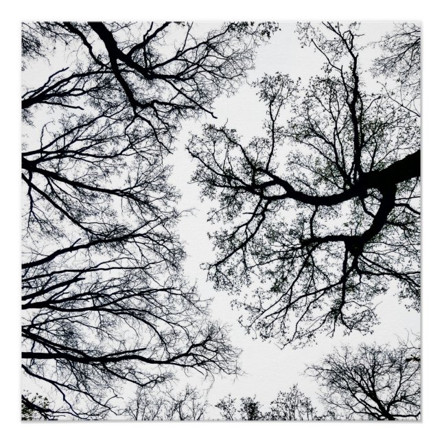 Pôster Zwollenaar Fractal (Frente)