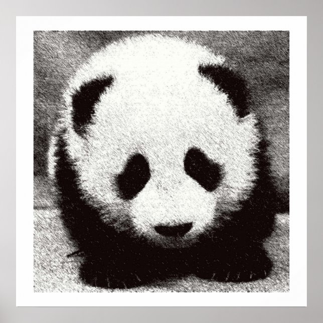 Pôsteres de Arte de Panda Bebê (Frente)