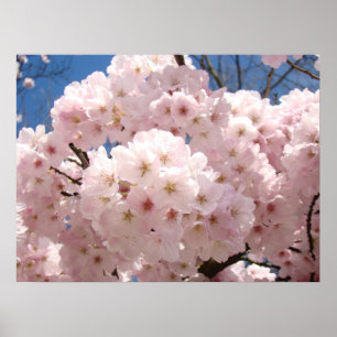 Pôsteres de arte floral de primavera Flores de árv