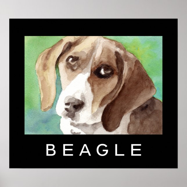 Pôsteres de Beagle (Frente)