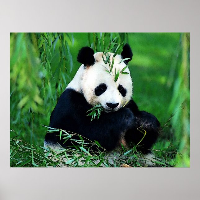 Pôsteres de Panda - Pôster de Panda Comendo Folhas (Frente)