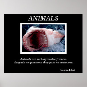 Posters 28 dos animais