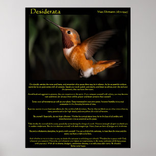 Posters 2 do colibri dos Desiderata