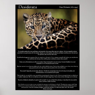 Posters 8 dos Desiderata