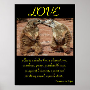 POSTERS AMANTES Animal 1