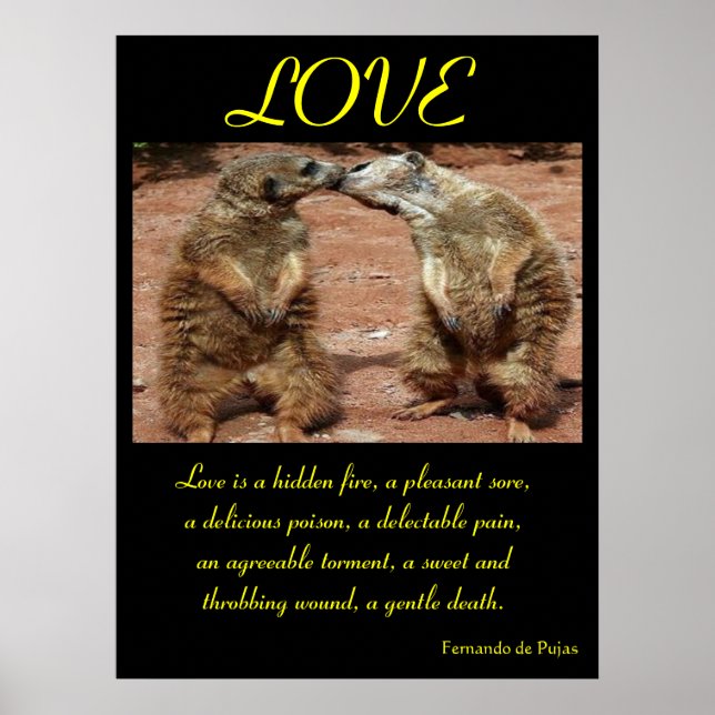 POSTERS AMANTES Animal 1 (Frente)