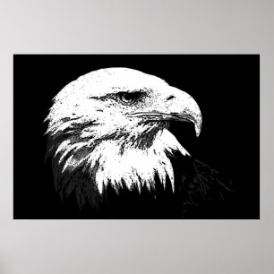 Posters americanos de Eagles do impressão do