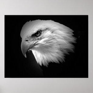 Posters americanos de Eagles do impressão do