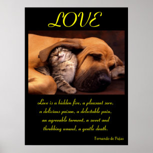 POSTERS AMOR Animal 2