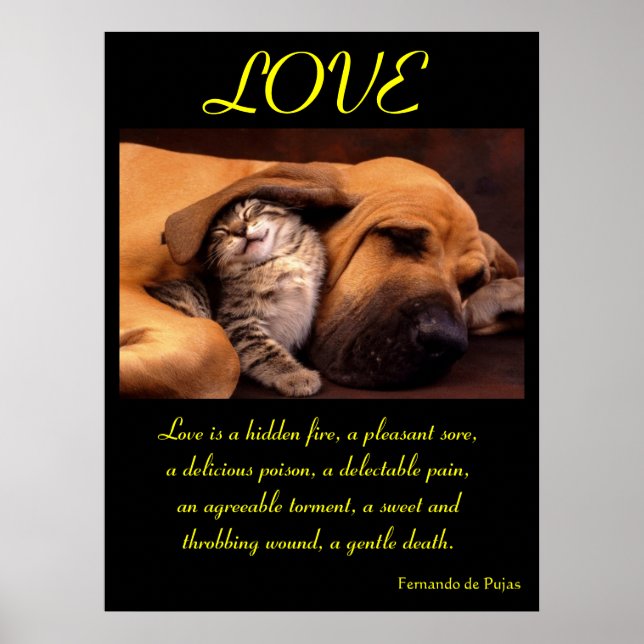 POSTERS AMOR Animal 2 (Frente)