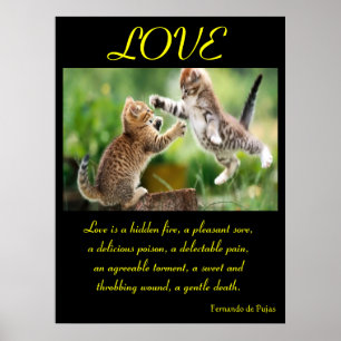 POSTERS AMOR Animal 3