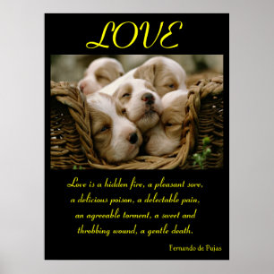 POSTERS AMOR Animal 4
