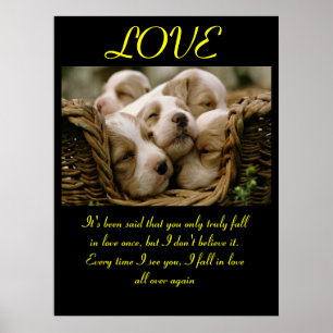 POSTERS AMOR Animal 5
