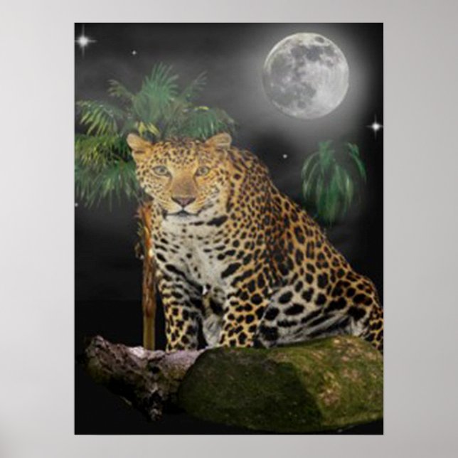 Posters animais (Frente)