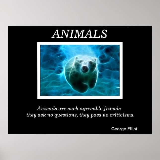 Posters animais 32 (Frente)