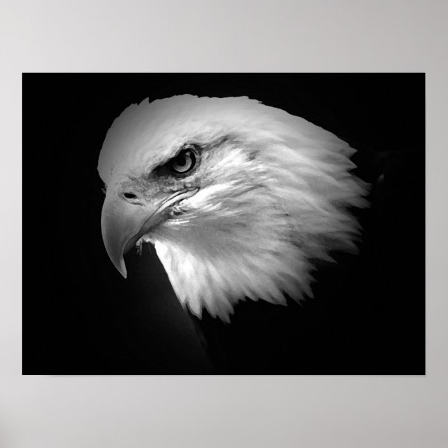Posters de Águia Bald Poster Impressão Eagles BW A (Frente)