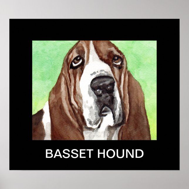 Posters de Basset Hound (Frente)