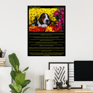 Posters de Beagle da Flor Desiderata