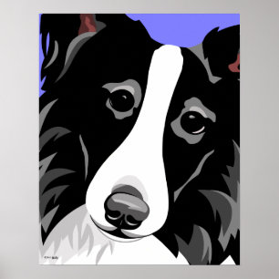 Posters de border collie