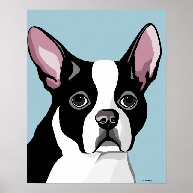 Posters de Boston Terrier (Frente)