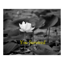 Posters de defesa da violência doméstica I