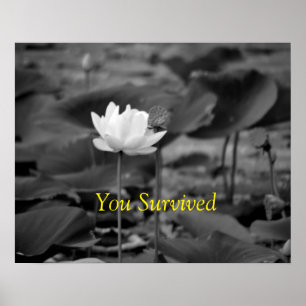 Posters de defesa da violência doméstica I