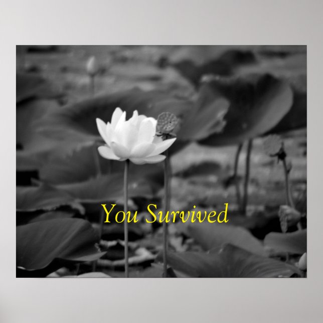 Posters de defesa da violência doméstica I (Frente)