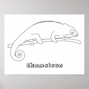 Posters de Desenho de Contorno do Chameleon