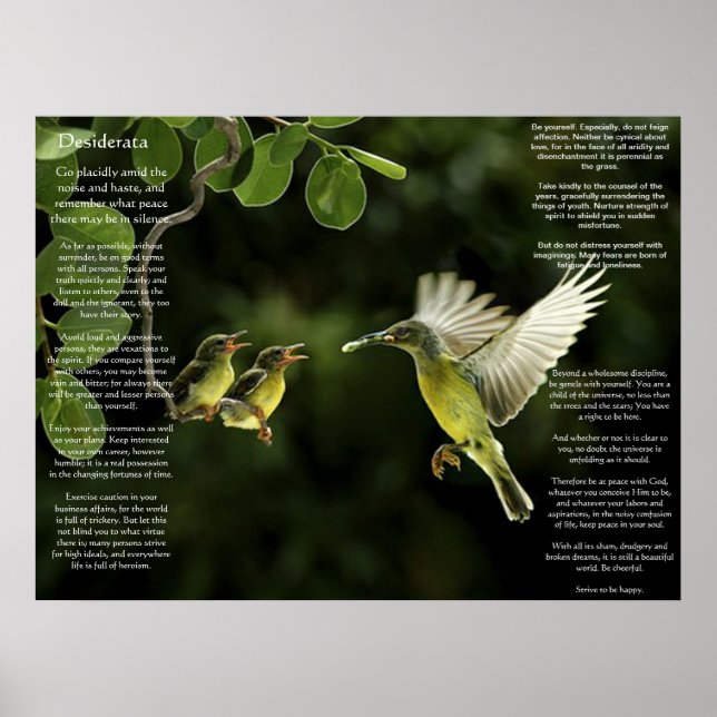 Posters de Desiderata Hummingbird (Frente)
