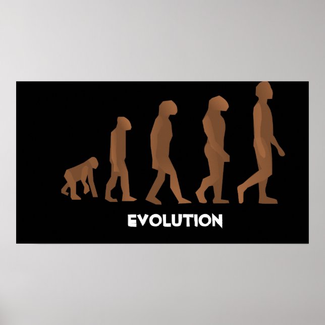 Posters de Evolução (Frente)