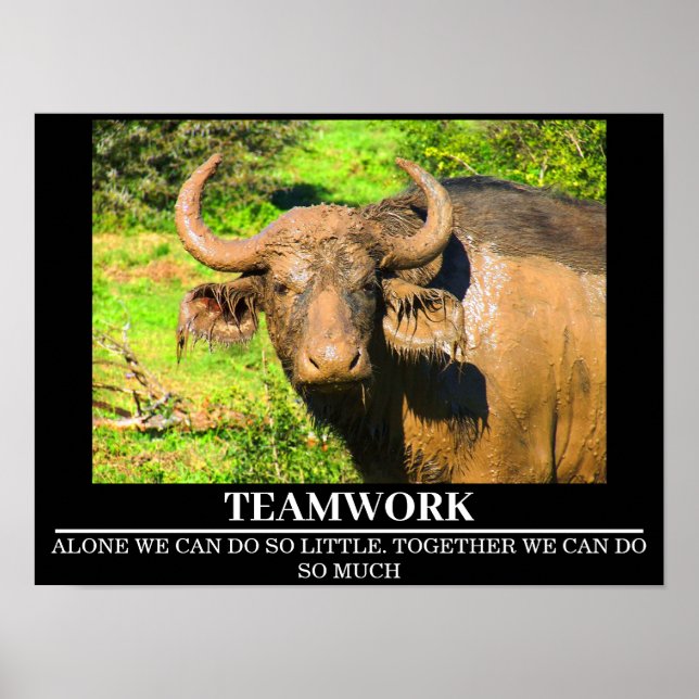 Posters de Motivação Trabalho em equipe Buffalo (Frente)