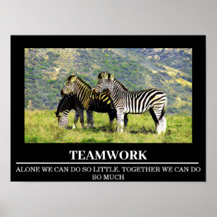 Posters de Motivação  Zebra Trabalho em equipe