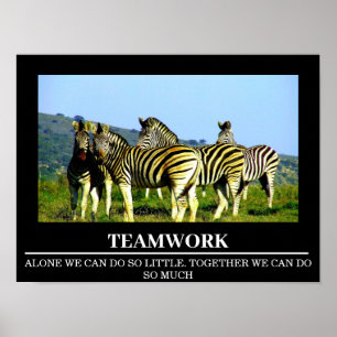 Posters de Motivação  Zebra Trabalho em equipe