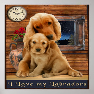 Posters de recuperação do Labrador