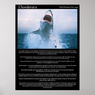 Posters de salto de tubarão Desiderata