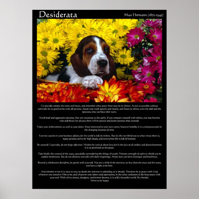 Posters Desiderata 6 (Frente)