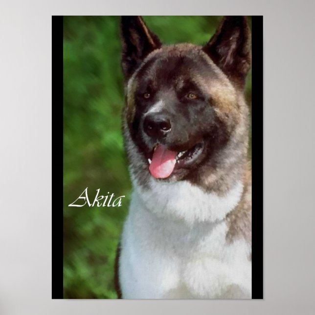 Posters e Impressões Akita Lovers (Frente)
