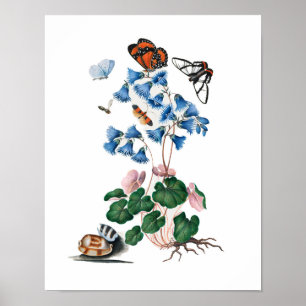 posters florais botânicos