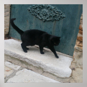 Posters Impressão francês Black Cat Nice França