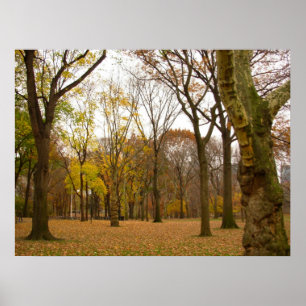 Posters & impressões da lembrança de New York do