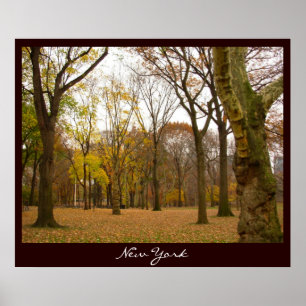 Posters & impressões da lembrança de New York do