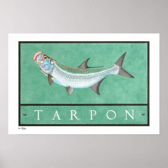 Posters, Impressões e Quadros de Tarpon (Frente)