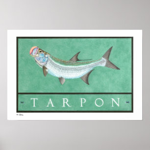 Posters, impressões e quadros do tarpão