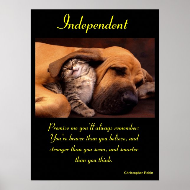 Posters Independentes Animal 10 (Frente)