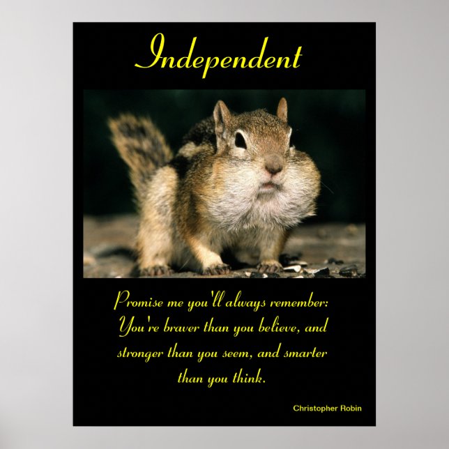 Posters Independentes Animal 24 (Frente)